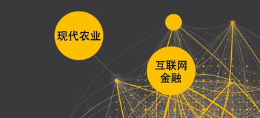 淺析互聯(lián)網(wǎng)環(huán)境下的農(nóng)業(yè)金融發(fā)展模式與互聯(lián)網(wǎng)數(shù)據(jù)服務(wù)